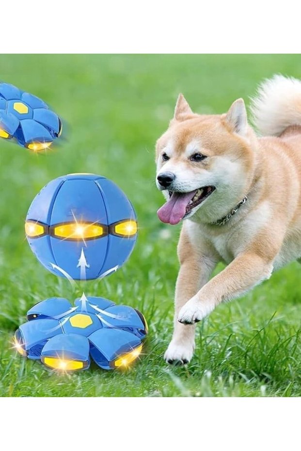 Flying Frisbee Disc That Transforms into a Ball Beach Garden Toy Entertainment Ball Lighted Pet Ball