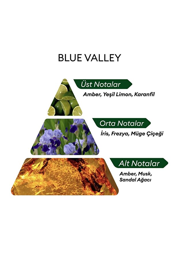 BLUE VALLEY 1982 - 4
