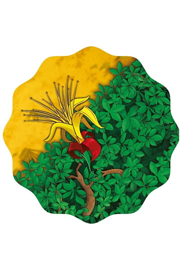 Joc - Baobab - 3