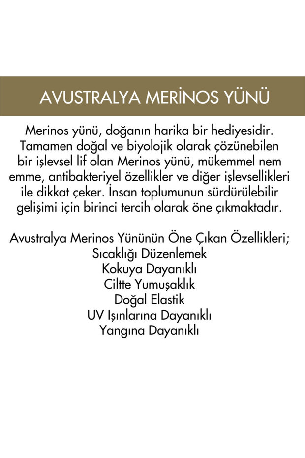 Teddy 6553 - 6