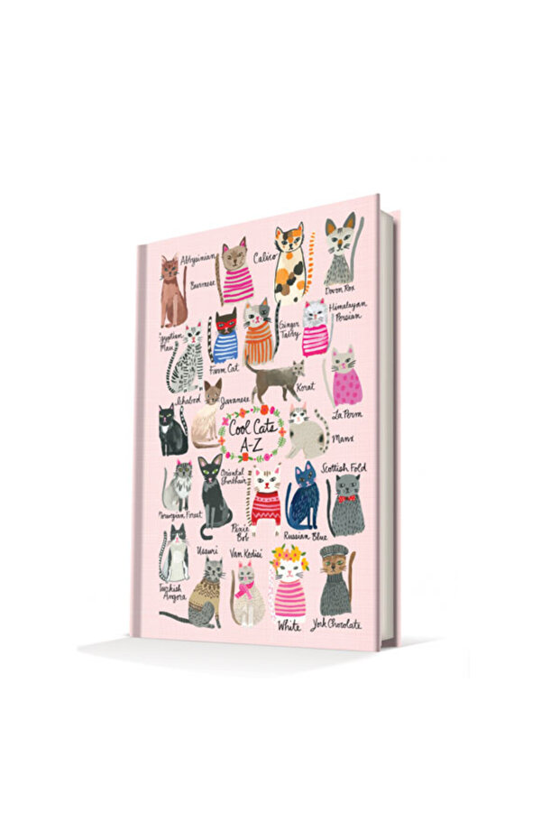 غطاء صلب من Summer Cats-Cool Cats مقاس 14x20 سم