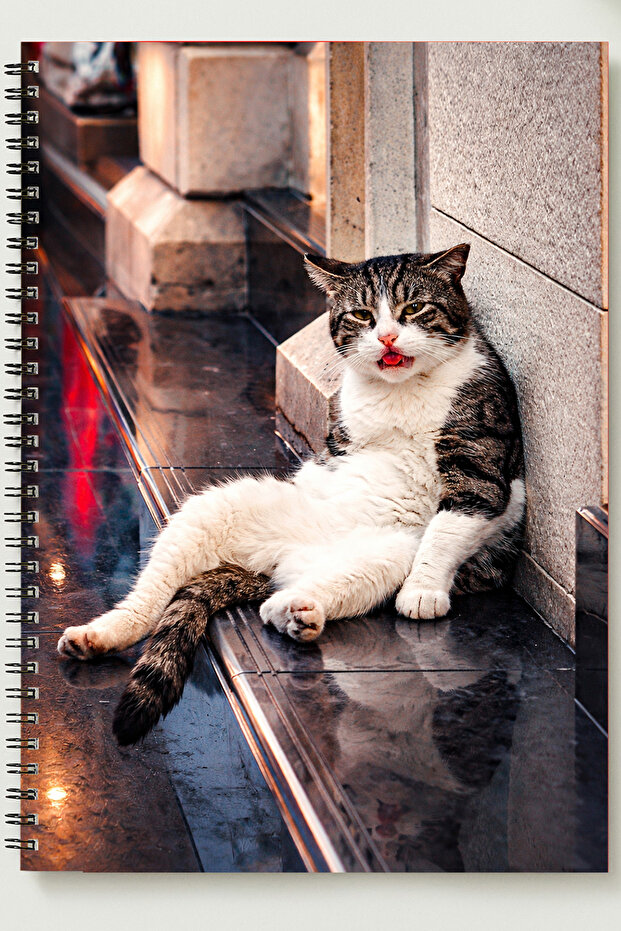 Fenomen Cat Themed A5 Metal Spiral Unlined Cardboard Cover Special Design Themed A5 Notebook
