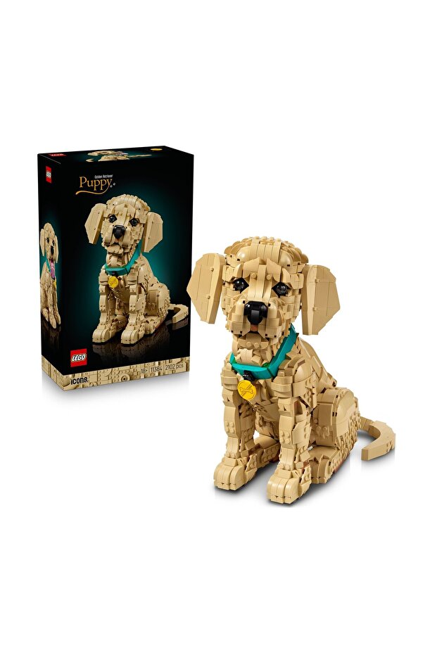 Icons Golden Retriever Puppy (11384)