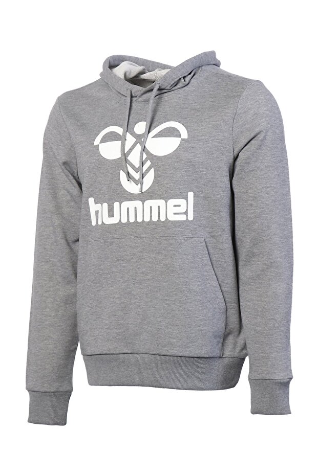 Arus - Men's Gray Hooded Sweatshirt