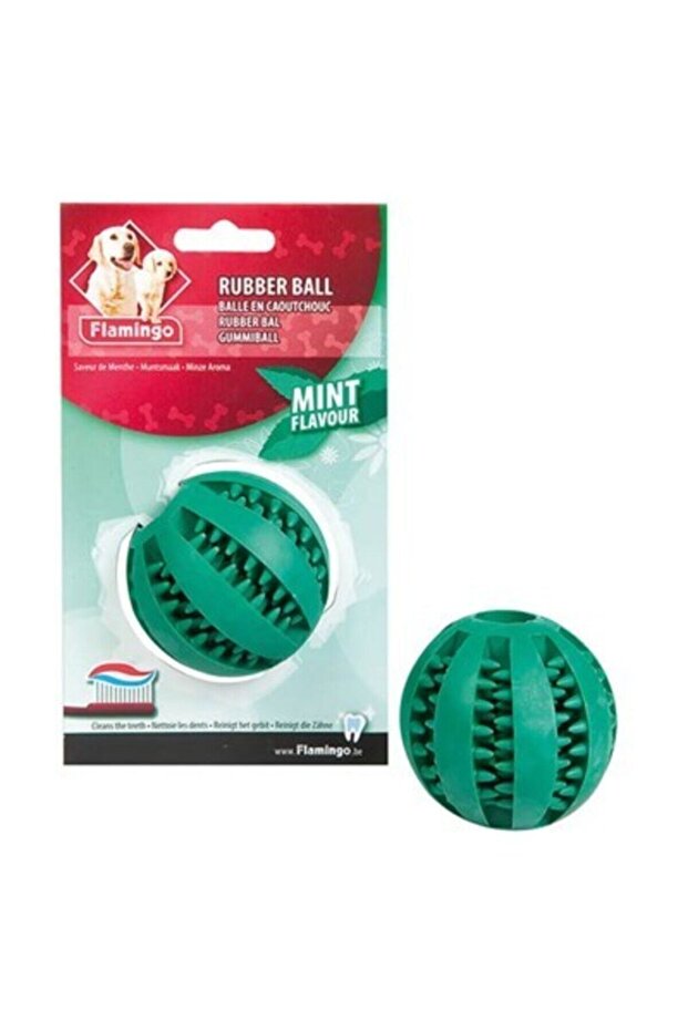 Naneli Top Köpek Oyuncağı - 1