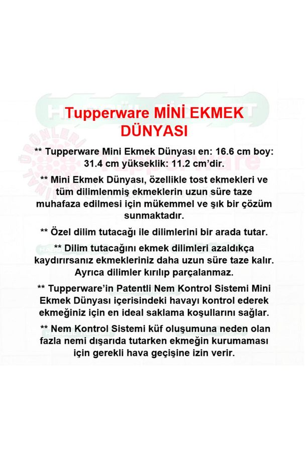 Mini Ekmek Dünyası Berrak Ekmek Saklama Kutusu Hsgl - 2