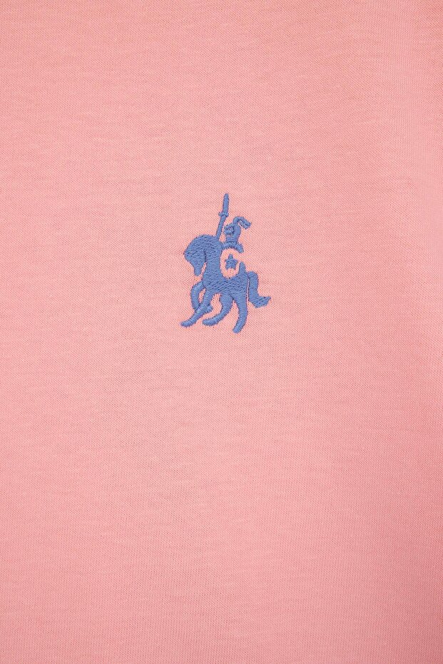 Pembe Bisiklet Yaka Nakış Detaylı Regular Fit Büyük Beden T-shirt TBBSS26BF00032 - 5