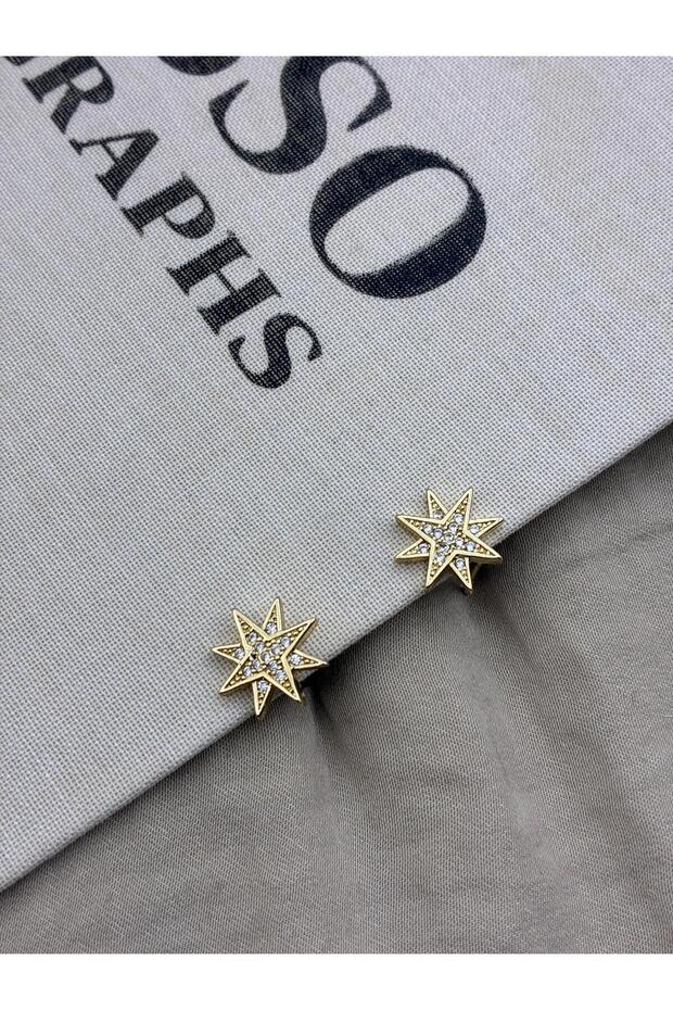 Gold Color Zircon Stone Cousin Star Model Earrings Cm123