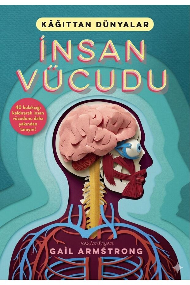 Maxi Yayıncılık İnsan Vücudu