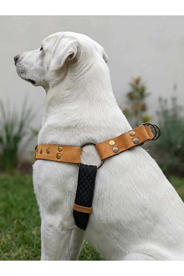 Dog Chest Harness Medium Breed Adjustable Column Cord and Nubuck Leather Black and Brown