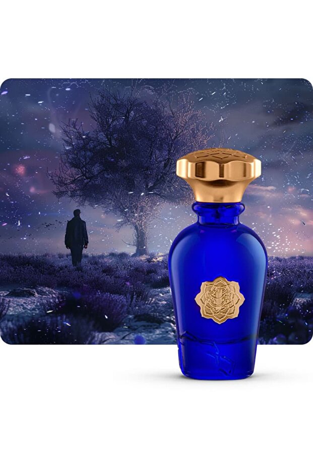 AROMATIC CARDAMOM - Ins-La Nuit Perfume For Men, Eau De Parfum - 75ml, Travel Size