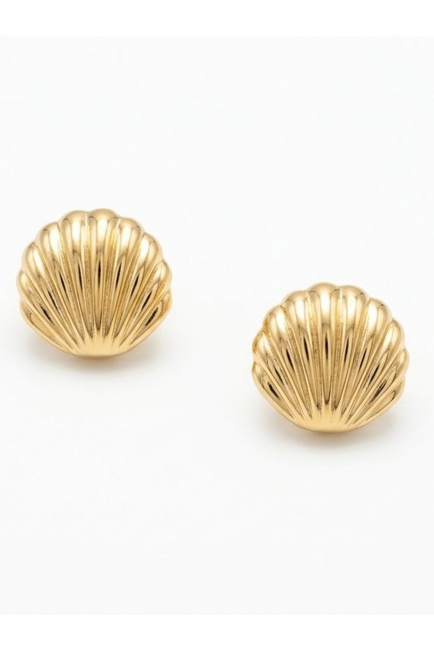 Oyster Gold Women's Earrings