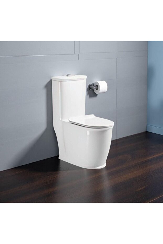 Luxe Rimless Wc Pro One Piece S-Trap 250Mm