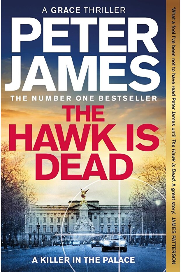 Hawk Is Dead - 1