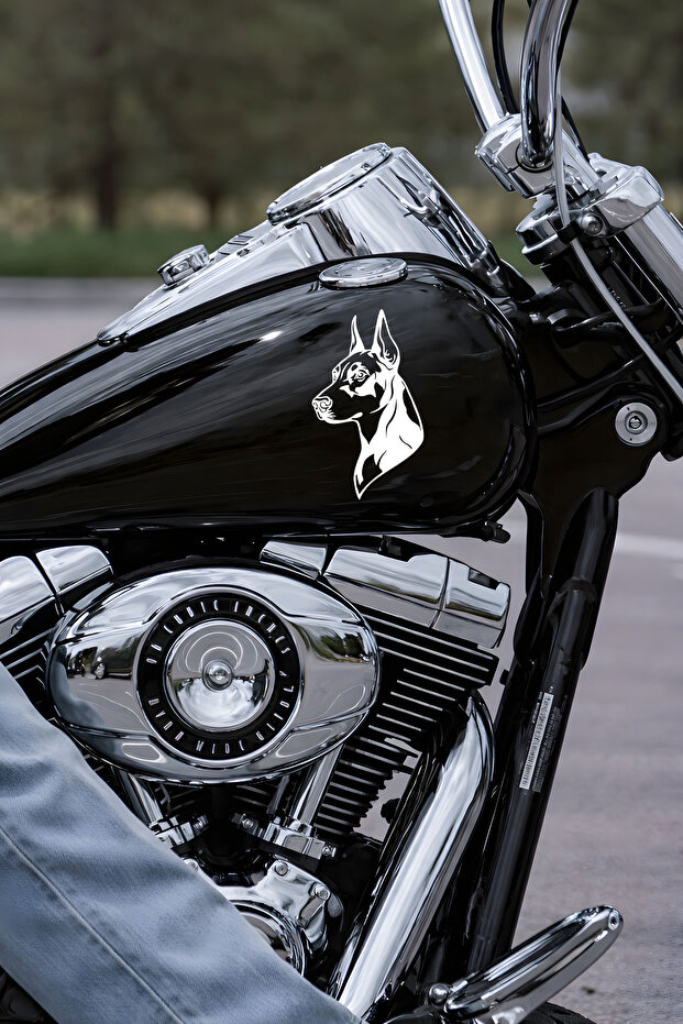 Doberman Car Sticker – Dog Figured Auto Sticker - Dog Themed Motor Sticker 15X8Cm
