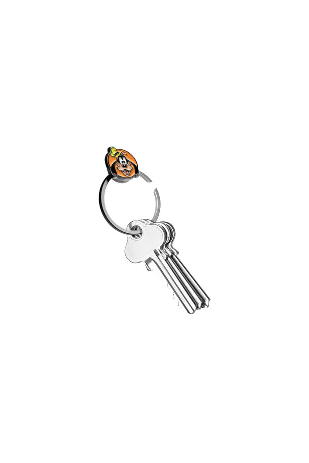 Ring v2 Goofy - 3