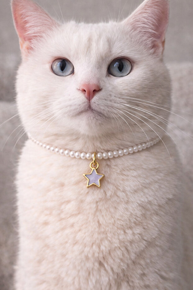 Lilac Star Pendant Pearl Cat Necklace