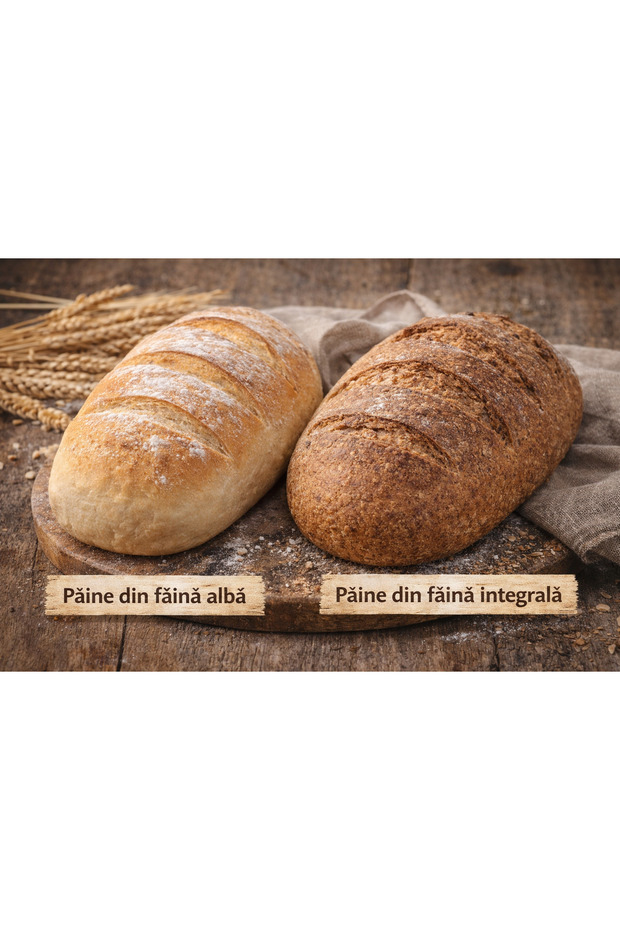 Faina integrala 10kg