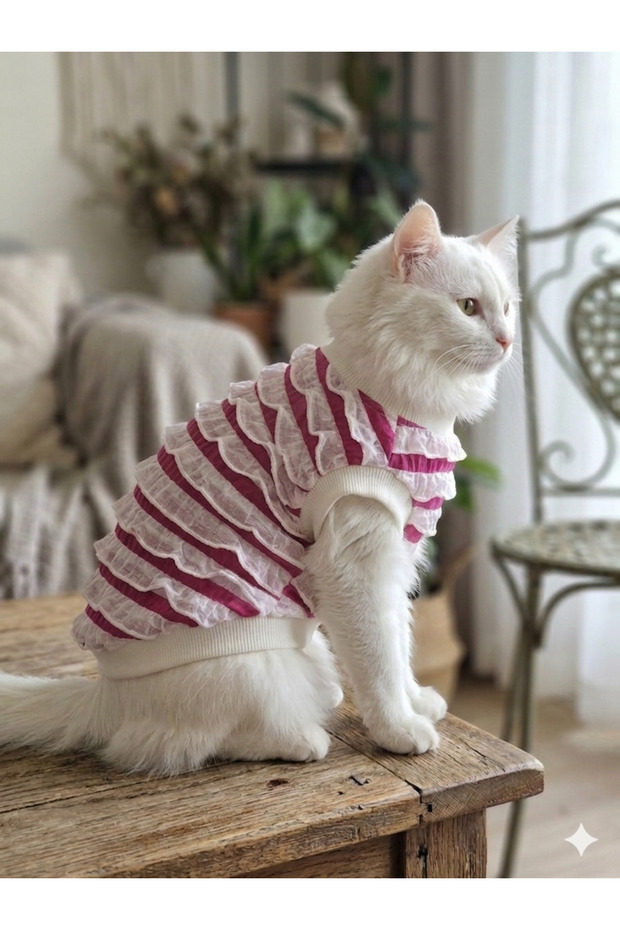 Cat&Dog Outfit Only (XS) Is Left Over. Winter Ruffled Glittery Heart Patterned Sweater