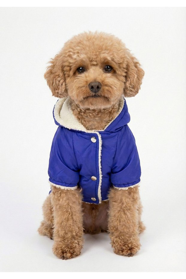 Cat and Dog Outfit & Dress & Coat & Vest - Cobalt Blue Hooded Fur Coat