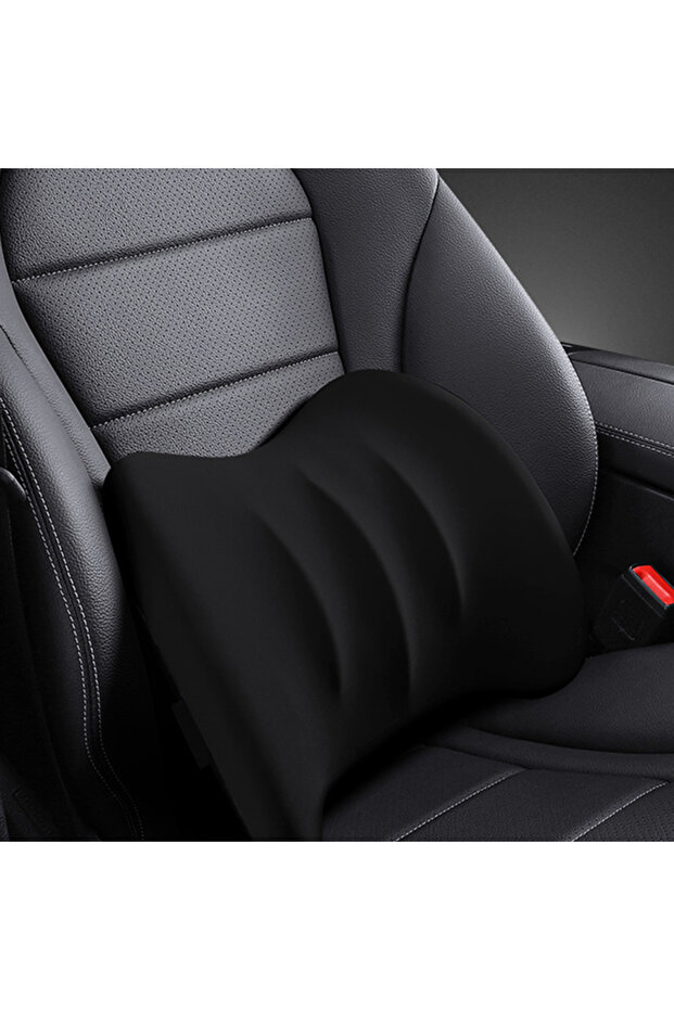 AUTO FAMILY Ergonomic Lumbar Support Backrest Pillow for Car & Office Chair – Memory Foam Cushion