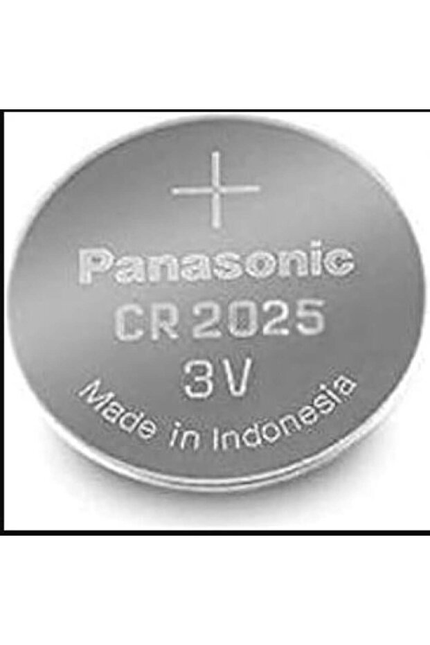 Panasonic 2025 Battery Stone