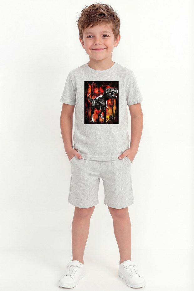 Boy's Printed Double Set B21