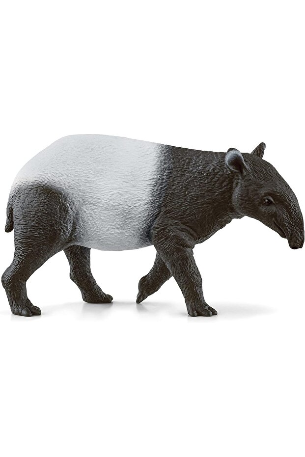 Tapir 14850