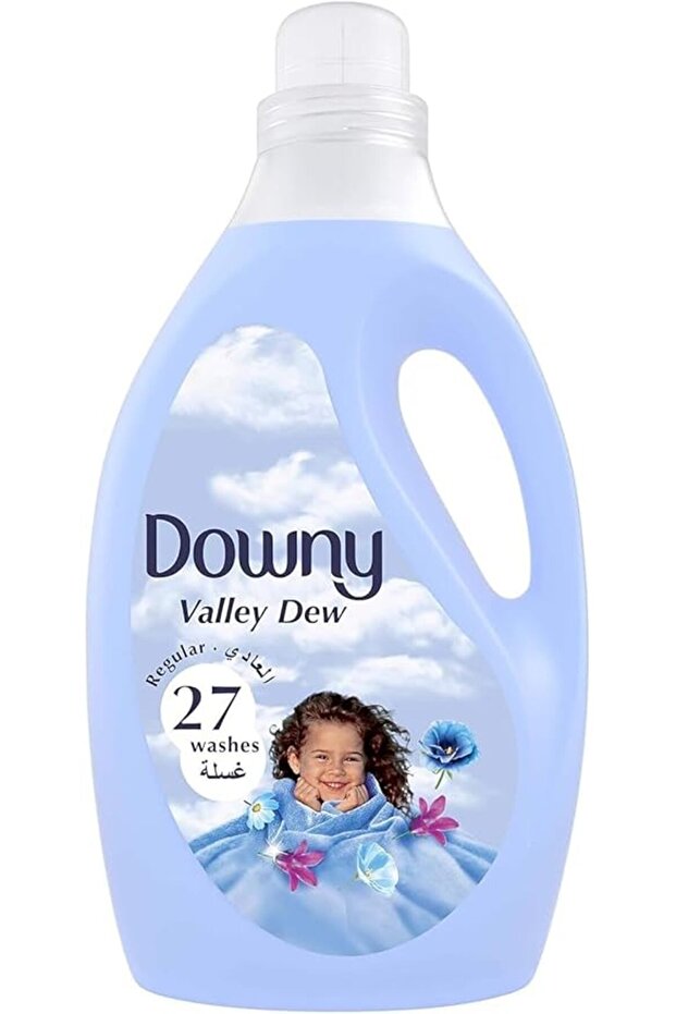 Downy Regular Fabric Softener Valee Doo 3 L