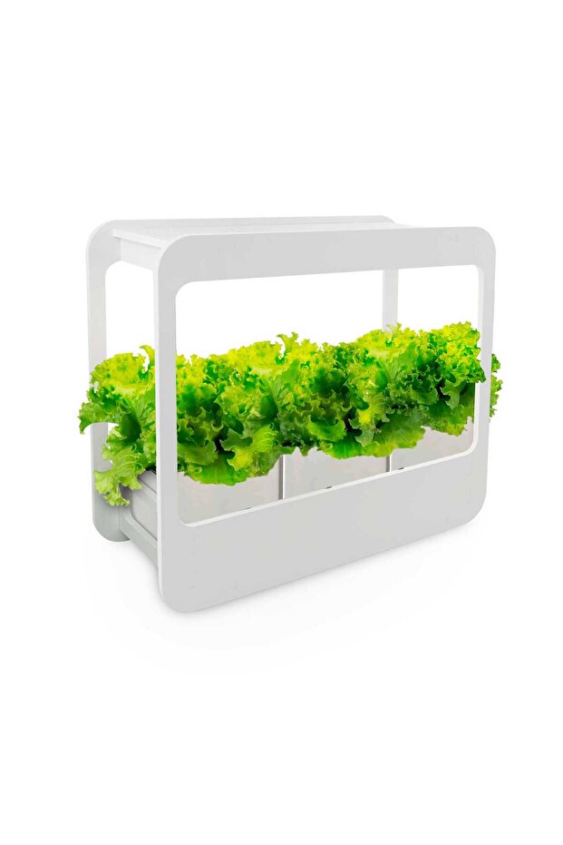LED Gardening Frame with Pot