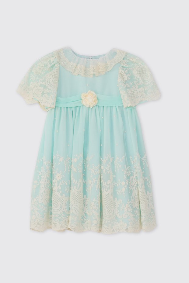 Baby Girl Embroidered Rose Detailed Mint Dress