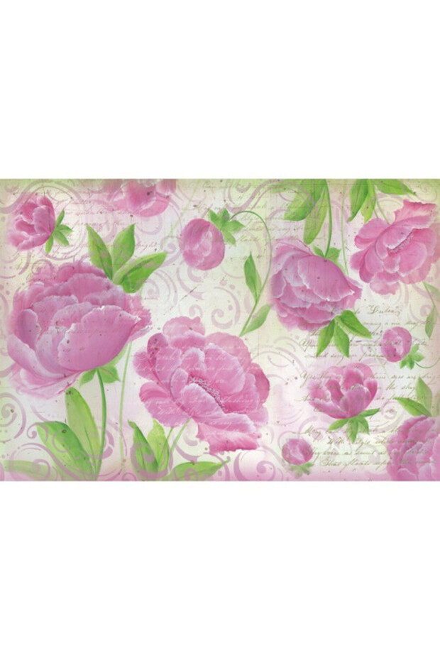 DECOUPAGE RICE PAPER 48/33 - DFS269