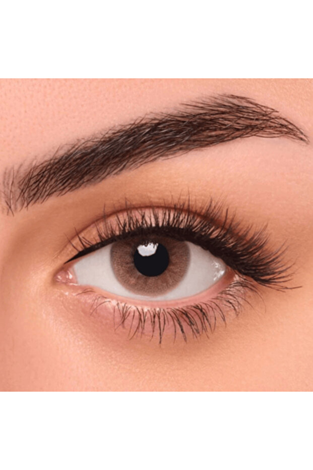 عدسات يومية CINNIMON
