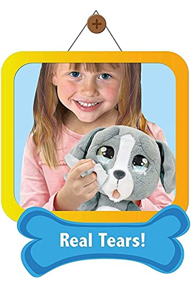 Dog Grey MTC00000 - 3
