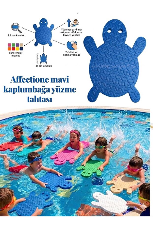 Swimming Board Turtle Model