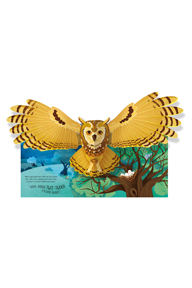 Pop Up Birds Publishing - 2
