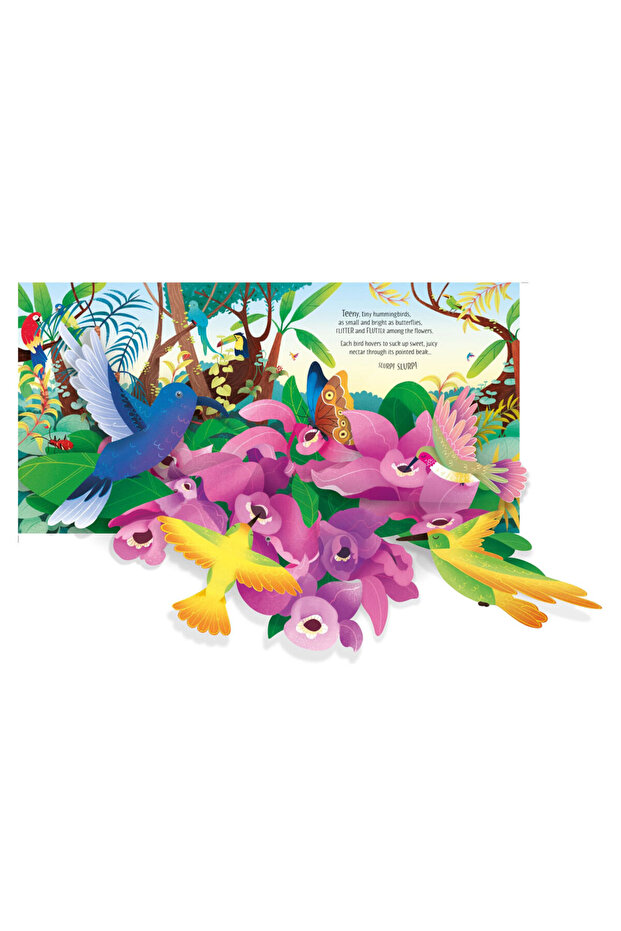 Pop Up Birds Publishing - 4