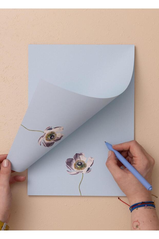 حامل ملاحظات صغير من آرت لاين، أنيمون، 21×30 سم، 40 ورقة