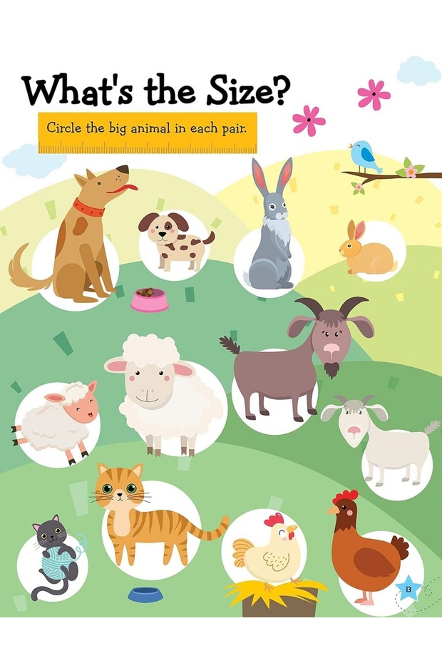 Learn Everyday Basic Maths - Age 5+ - 4