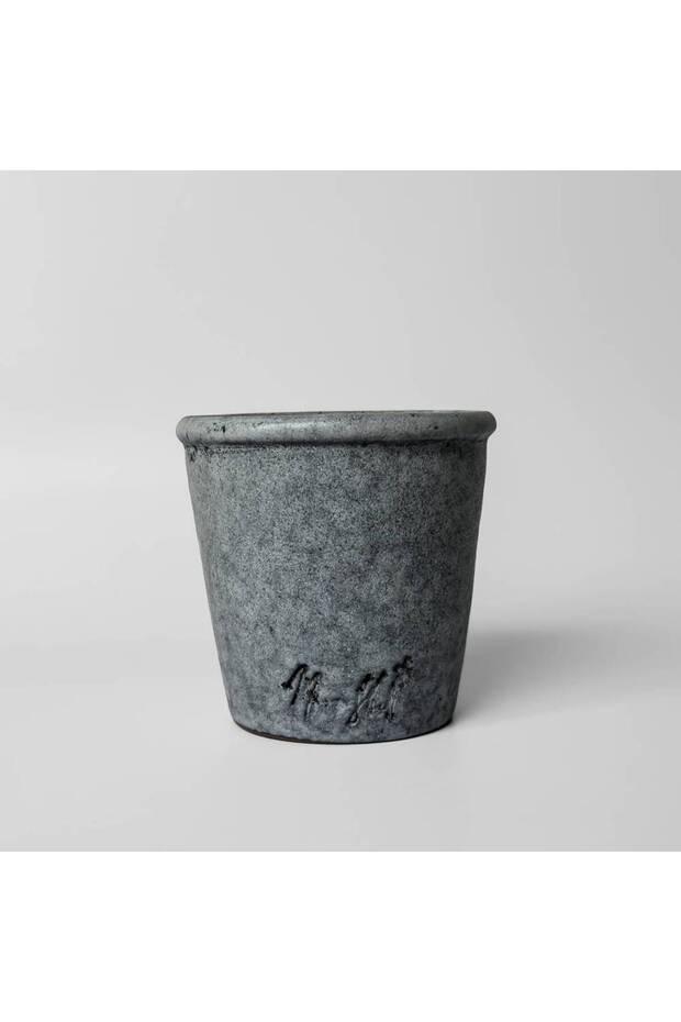 Moon shell regular cup