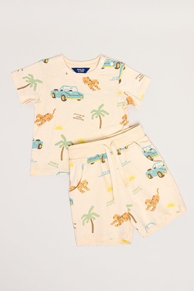 Printed T-Shirt and Shorts Set