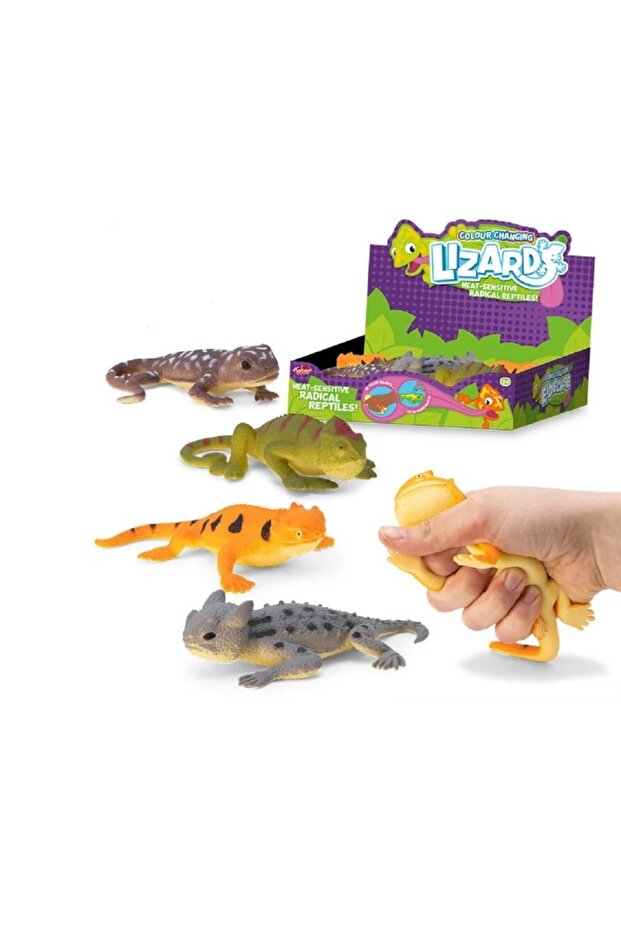 "Assorted Colour Changing Lizard "