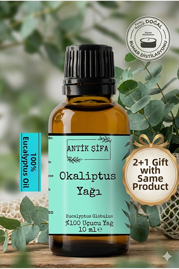 100% Pure Eucalyptus Essential Oil - 10 Ml (Not Diluted)