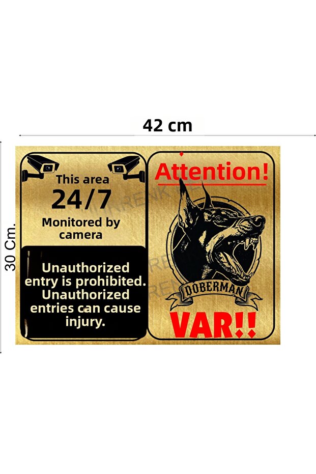 Large Size Caution Dog Present Camera and No Loitering Sign 29.7 Cm. X 42 cm Dir Metal Gold
