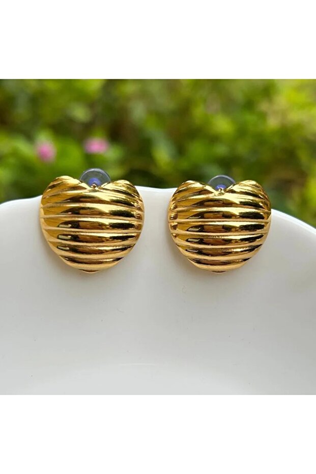Accessory Steel Heart Striped Women's Earrings