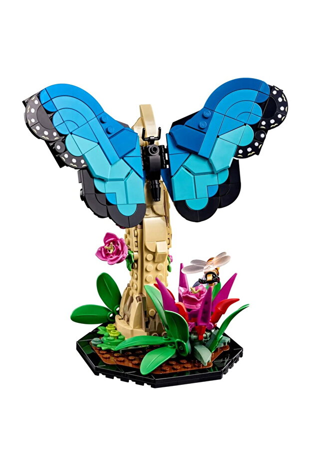 Colectia de Insecte - 4