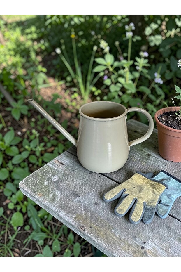 Galvanized Metal Watering Can 1.2 Lt Shiny Gray