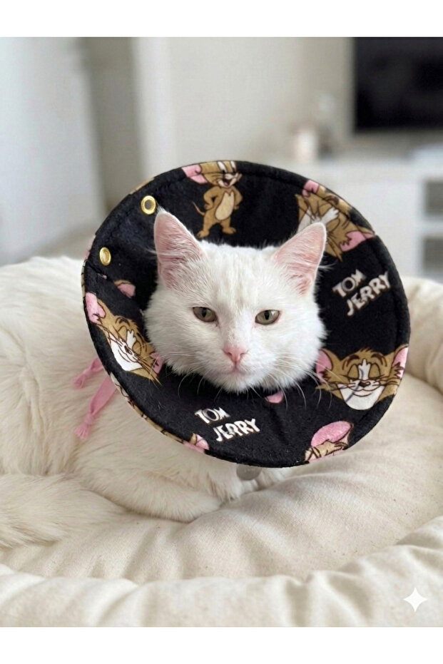 Elizabeth Protective Collar Read Description Please