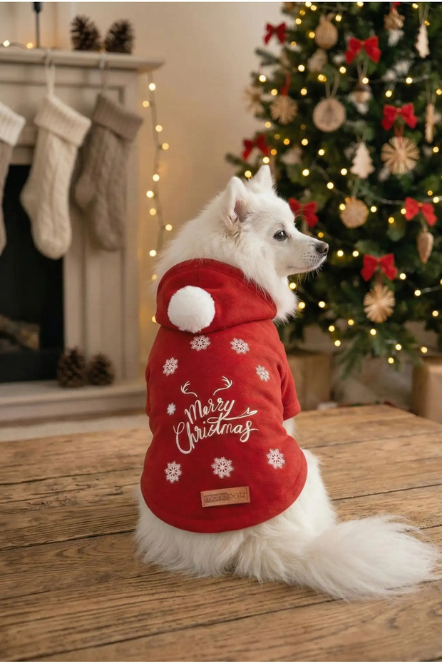 Hooded Sweatshirt Dog And Cat Christmas Outfit - New Year's Special Santa Claus