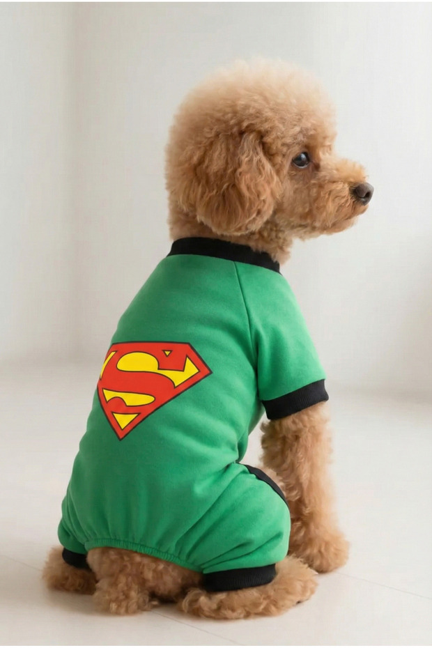 Cat and Dog Outfit & Dress - Mint 4 Leg Jumpsuit Superman